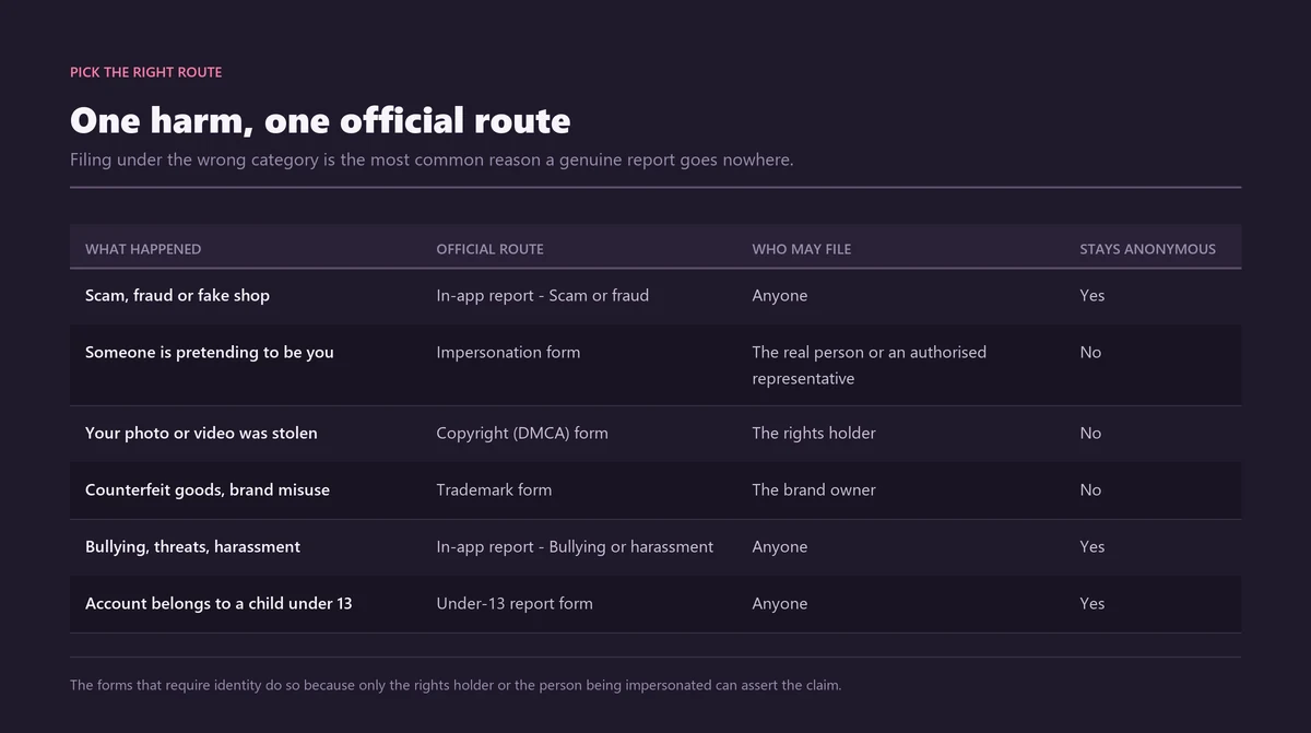 Table mapping each type of harm to its official Instagram reporting route, who may file it, and whether the report stays anonymous
